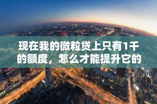 现在我的微粒贷上只有1千的额度，怎么才能提升它的额度？