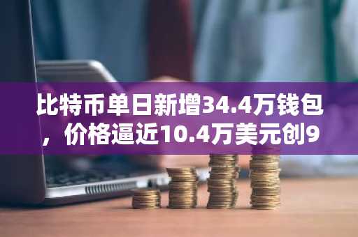 比特币单日新增34.4万钱包，价格逼近10.4万美元创9个月新高