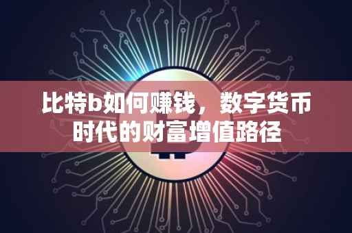 比特b如何赚钱，数字货币时代的财富增值路径