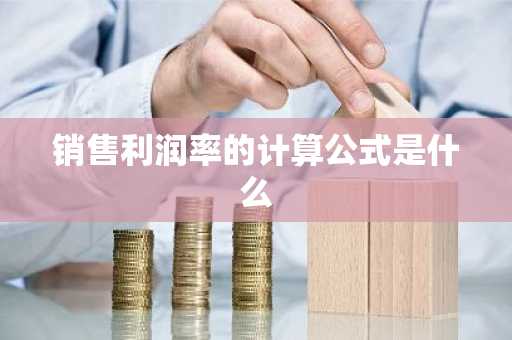 销售利润率的计算公式是什么