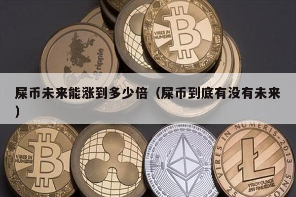 屎币未来能涨到多少倍（屎币到底有没有未来）
