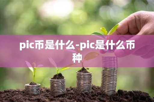 pic币是什么-pic是什么币种