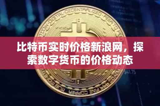 比特币实时价格新浪网，探索数字货币的价格动态