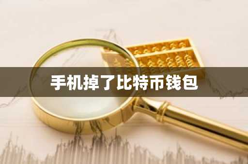 手机掉了比特币钱包