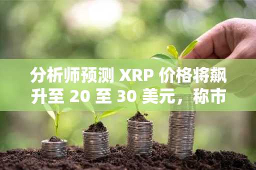分析师预测 XRP 价格将飙升至 20 至 30 美元，称市场对其潜力仍低估