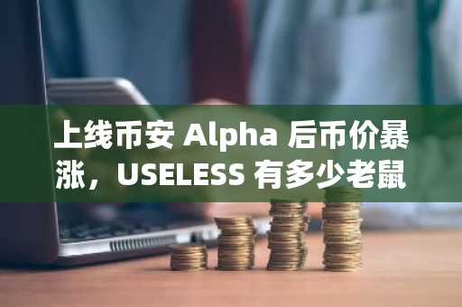 上线币安 Alpha 后币价暴涨，USELESS 有多少老鼠仓？