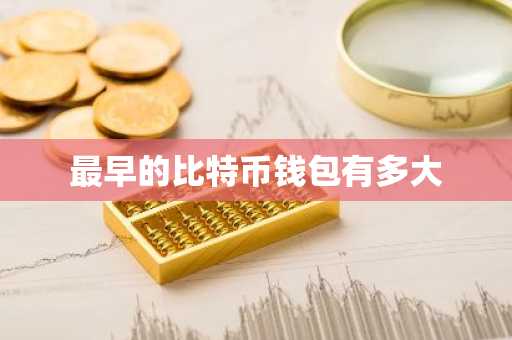 最早的比特币钱包有多大