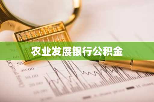 农业发展银行公积金