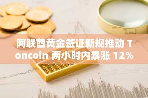 阿联酋黄金签证新规推动 Toncoin 两小时内暴涨 12%