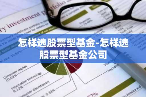 怎样选股票型基金-怎样选股票型基金公司