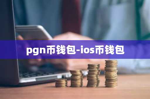 pgn币钱包-ios币钱包