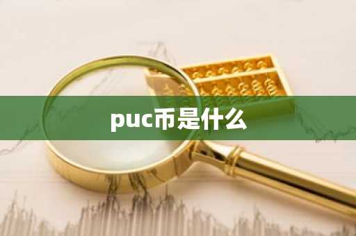 puc币是什么