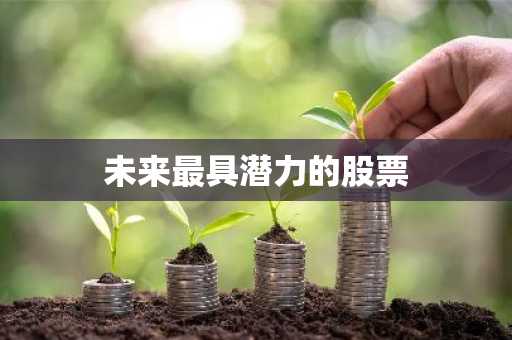 未来最具潜力的股票