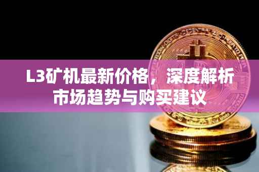 L3矿机最新价格，深度解析市场趋势与购买建议