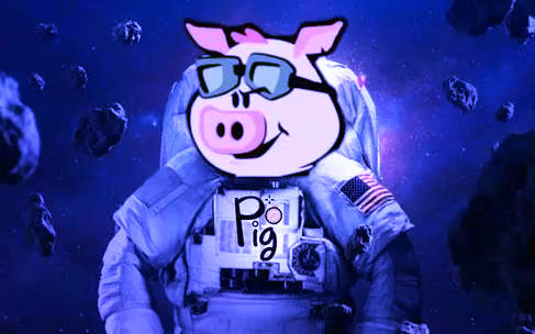 pig币官方版下载链接 pig币交易中心app
