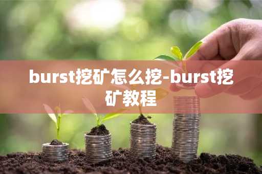 burst挖矿怎么挖-burst挖矿教程