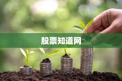 股票知道网