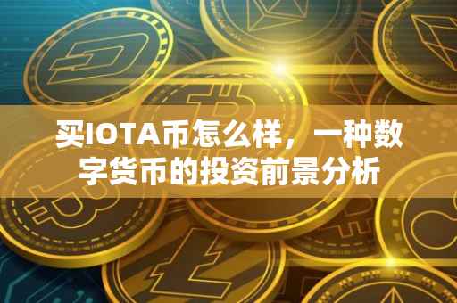 买IOTA币怎么样，一种数字货币的投资前景分析