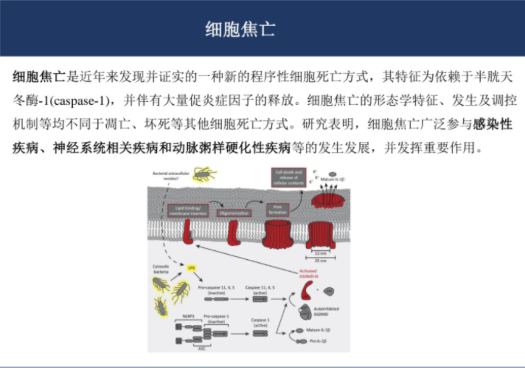 关于基金的ppt课件（关于基金的ppt课件下载）-第4张图片-binance下载