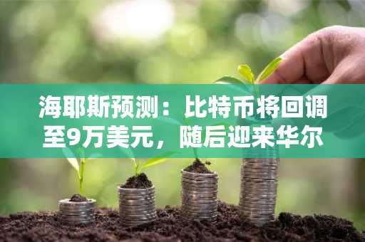 海耶斯预测：比特币将回调至9万美元，随后迎来华尔街驱动的新一轮牛市