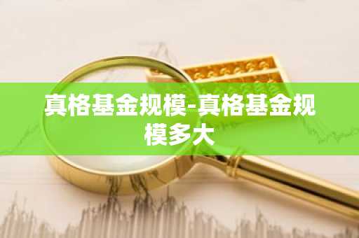 真格基金规模-真格基金规模多大