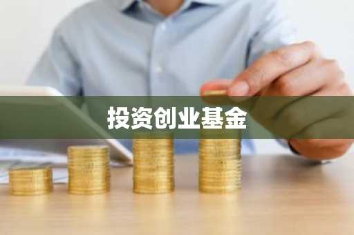 投资创业基金