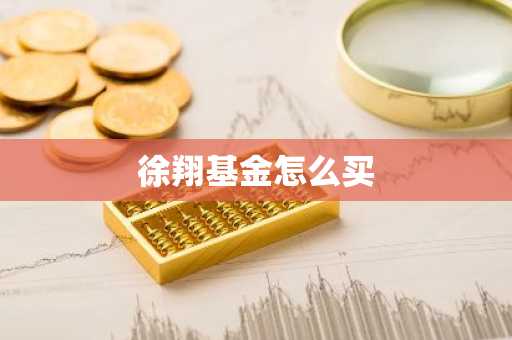 徐翔基金怎么买