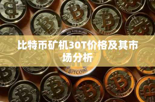 比特币矿机30T价格及其市场分析
