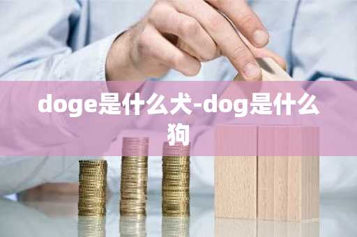 doge是什么犬-dog是什么狗