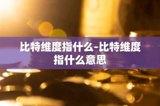 比特维度指什么-比特维度指什么意思