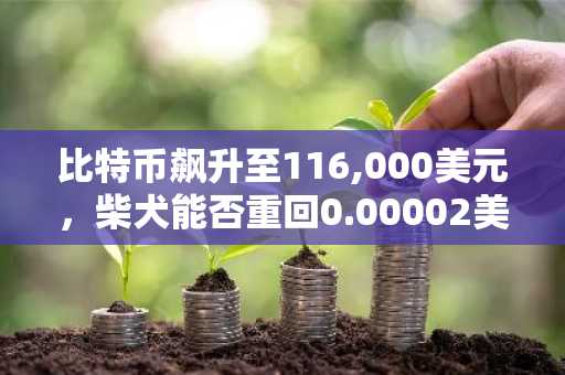 比特币飙升至116,000美元，柴犬能否重回0.00002美元大关？