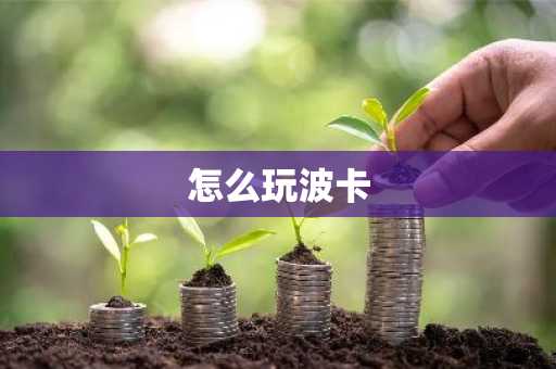 怎么玩波卡