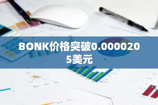 BONK价格突破0.0000205美元