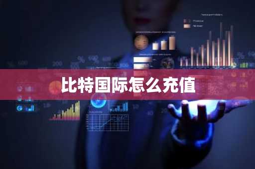 比特国际怎么充值