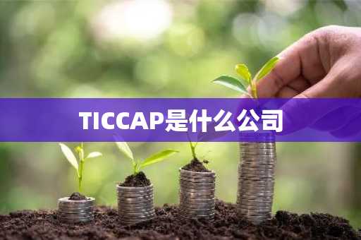 TICCAP是什么公司