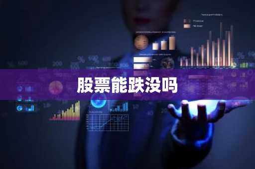 股票能跌没吗