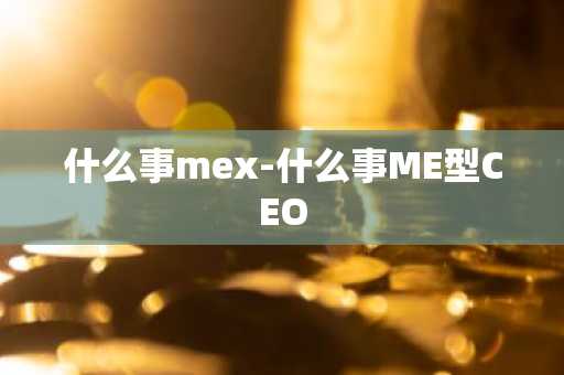 什么事mex-什么事ME型CEO