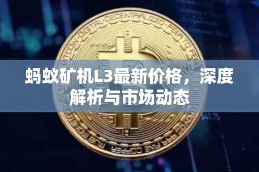 蚂蚁矿机L3最新价格，深度解析与市场动态