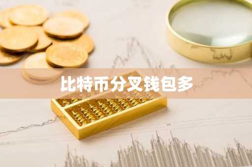 比特币分叉钱包多