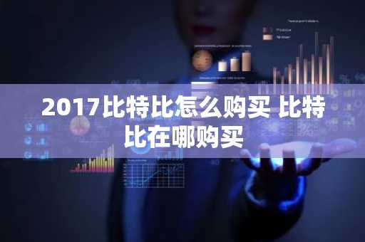 2017比特比怎么购买 比特比在哪购买