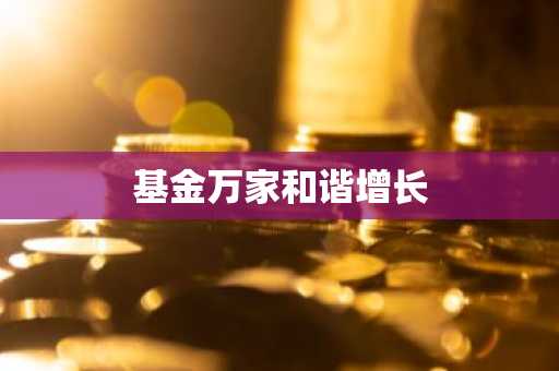 基金万家和谐增长
