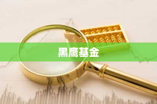 黑鹰基金