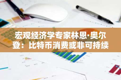宏观经济学专家林恩·奥尔登：比特币消费或非可持续选择