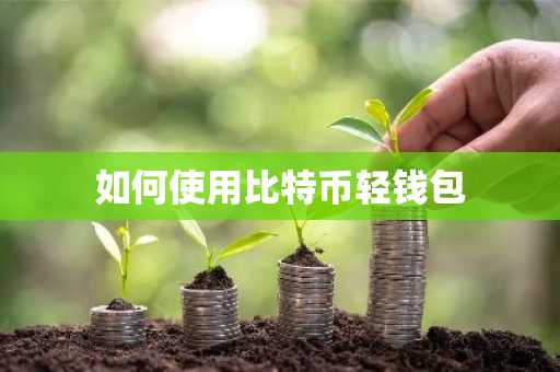 如何使用比特币轻钱包