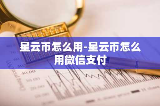 星云币怎么用-星云币怎么用微信支付