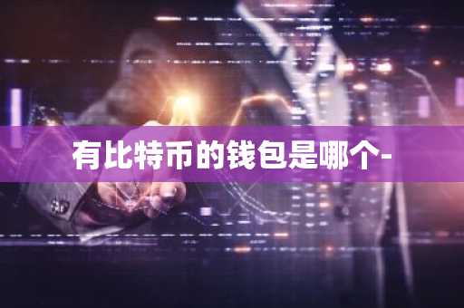 有比特币的钱包是哪个-