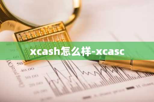 xcash怎么样-xcasc