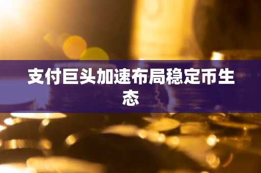 支付巨头加速布局稳定币生态