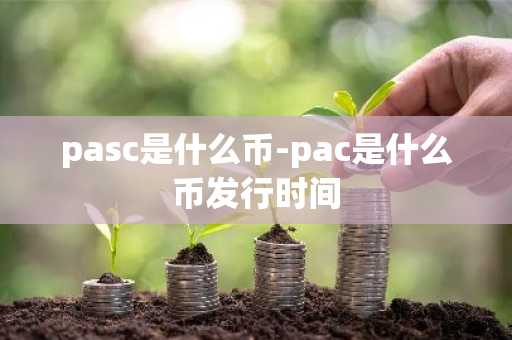 pasc是什么币-pac是什么币发行时间