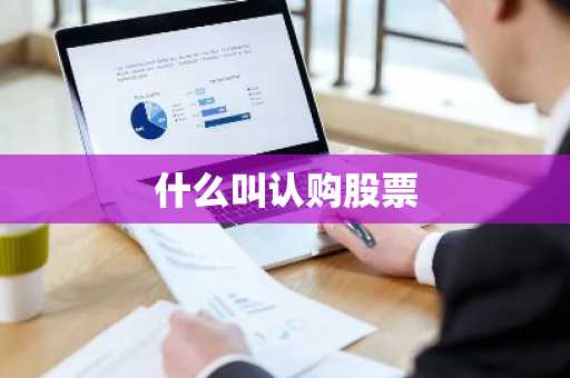 什么叫认购股票
